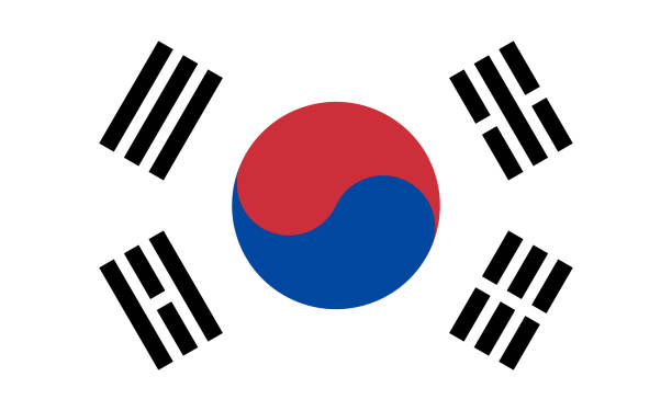 ilustrações, clipart, desenhos animados e ícones de bandeira da coreia do sul. ícone nacional coreano. símbolo de yinyang na bandeira. emblema da república da coreia do sul e seul. ilustração para g20. padrão oficial para linguagem, turismo e mapa. vetor - south