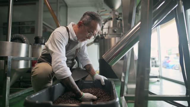Asian chinese senior man craftsperson collecting and examining roasted coffee bean after spinning out from cooling process and de-stoning  in his factory falling into bucket