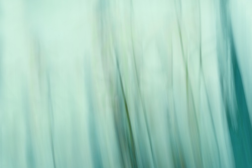 Abstract green gradient modern backgroung. Blurred lines.