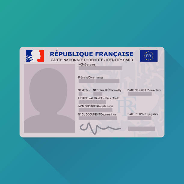 French identity card version 2021 (flat design) Representation in flat design style of the 2021 version of the French identity card on a blue background identity card stock illustrations