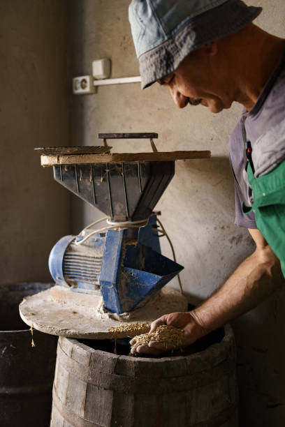 istock Men hands with a handful of oats on the background 1333359041