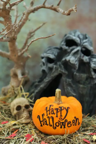 Photo of Image of Happy Halloween message gourd beside miniature skull, twig tree and cave, on wicker shelf covered with hay pile