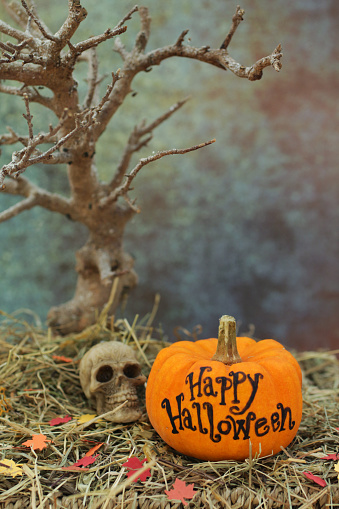 Stock photo showing orange gourd with Happy Halloween message drawn on beside a miniature skull.  The pumpkin is located on a wicker shelf covered with a pile of hay.
