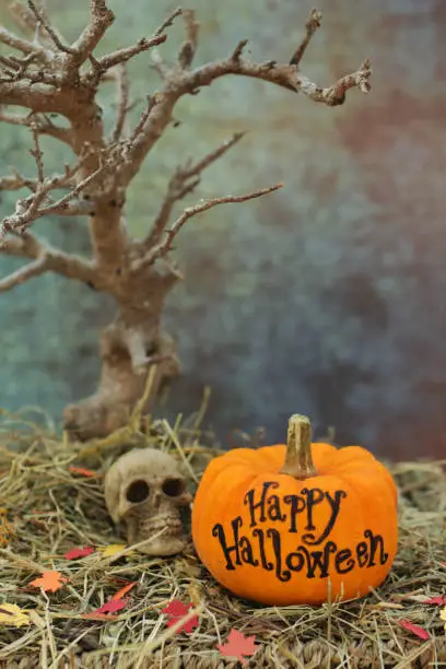 Photo of Image of Happy Halloween message gourd beside miniature skull, twig tree, on wicker shelf covered with hay pile