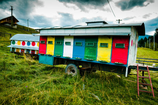 istock Colorful beehives in countryside field 1333360362