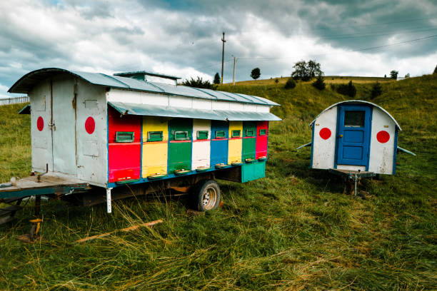 istock Colorful beehives in countryside field 1333360364