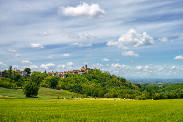 istock Landscape on the Tortona hills at springtime. 1333363337