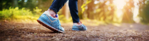 Young woman hiking and going camping in nature Young woman hiking and going camping in nature. Person with walking and running in the forest someone walking sneakers stock pictures, royalty-free photos & images
