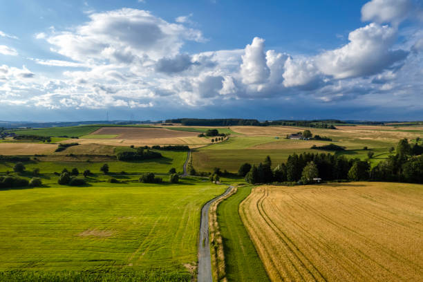 farm road in green field with wind turbines on the horizon