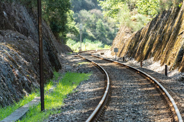 istock On the way to Santiago de Compostela, railway 1333368403