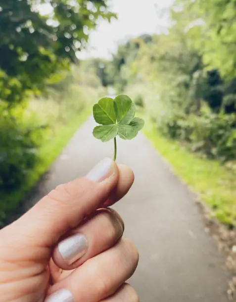 A close-up image of a woman's hand holding a four leaf clover