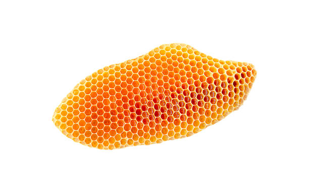 istock bee honeycomb with honey on a white background, bee honeycomb isolate 1333369692
