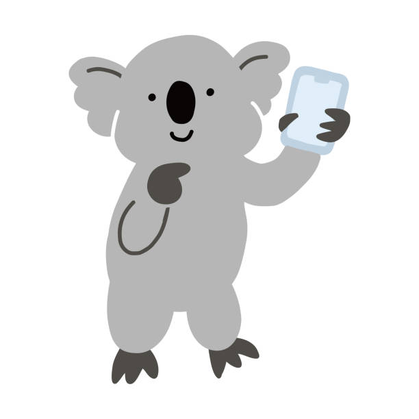 스마트 폰을 들고 있는 코알라의 호주 동물 벡터 일러스트 - koala australian culture cartoon animal stock illustrations