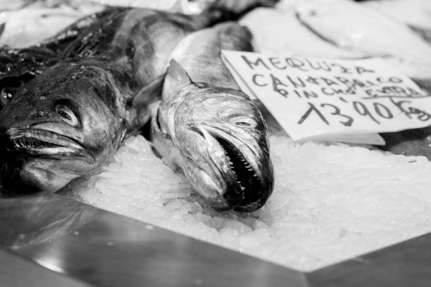 nasello nel mercado central a valencia, spagna - catch of fish healthy eating hake food foto e immagini stock