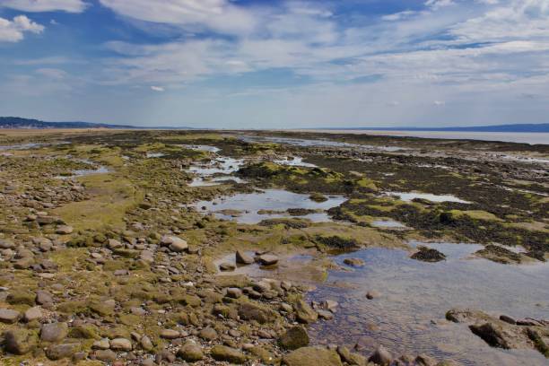 istock Terrain filled with stones and rocks leading to coastline. 1333376069