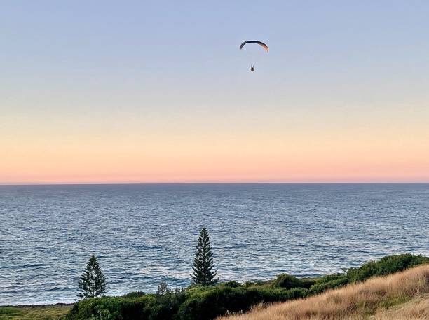 istock Paragliding off Headland Over Ocean at Sunset 1333378308