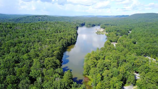 istock lake with green trees in alabama 1333381083