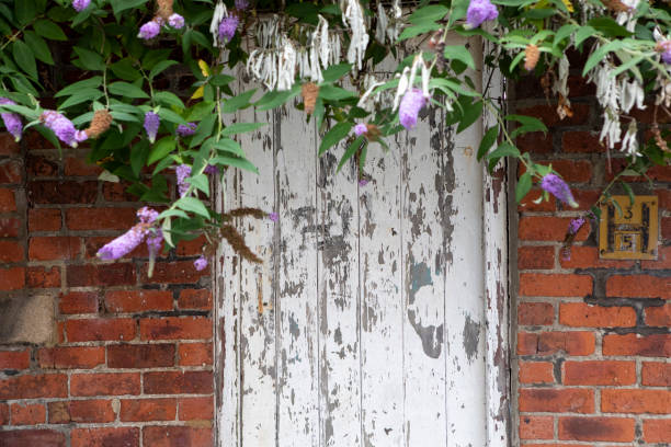 Door to a back yard