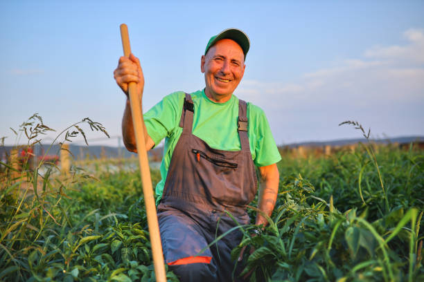 istock Happy farmer stock photo 1333384340