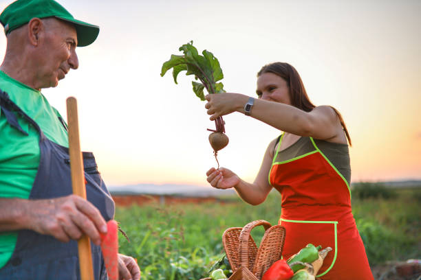 Freshly picked beetroot stock photo