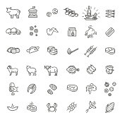Big Set of Barbecue Related Vector Line Icons