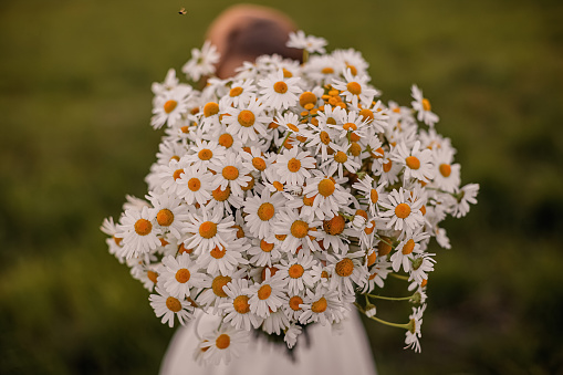 Bouquet of chamomile, which apparently someone holds out to the camera on a summer day.