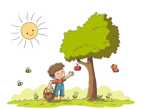 Boy picking apples. Vector illustration in modern cartoon style.