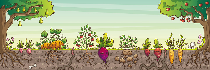 Vegetables and fruits in the garden. Vector illustration in modern cartoon style.