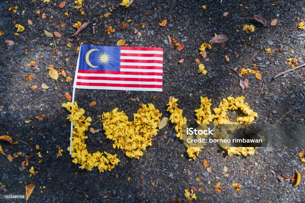 National flag of Malaysia "Jalur Gemilang" with Love from flower petals Hari Merdeka Stock Photo