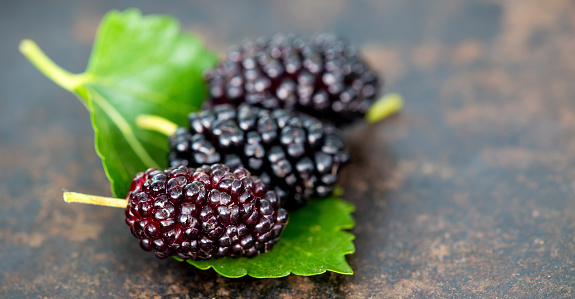 Mulberry fruits, healthy food banner