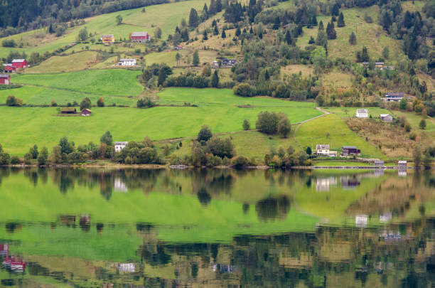 istock Reflection in Norway fjord 1333390911