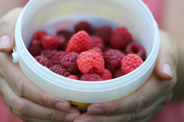 istock Raspberries in bucket close up 1333391523