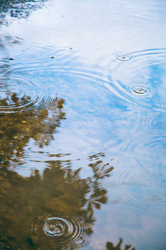 Soft, gentle raindrops falling from the tree in the puddle creating a relaxing pulsating surface of water.
