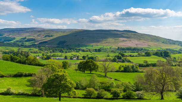 istock Near Sedbergh, Cumbria, England 1333392183