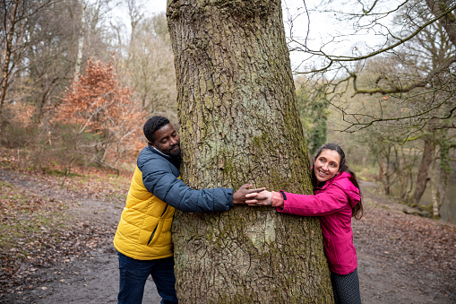A married couple holding hands round a tree trunk in Plessey Woods, Northumberland. They are are trying to look at each other while they hold hands.