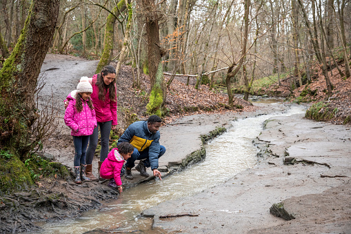 A family standing on a walkway next to a river at Plessey Woods, Northumberland. The father and youngest daughter are feeling the river water while the mother and eldest daughter watch.