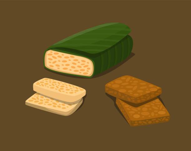 ilustraciones, imágenes clip art, dibujos animados e iconos de stock de tempe es la comida tradicional indonesia de soja fermentada en rebanada cruda y frita símbolo set ilustración vector - tempeh