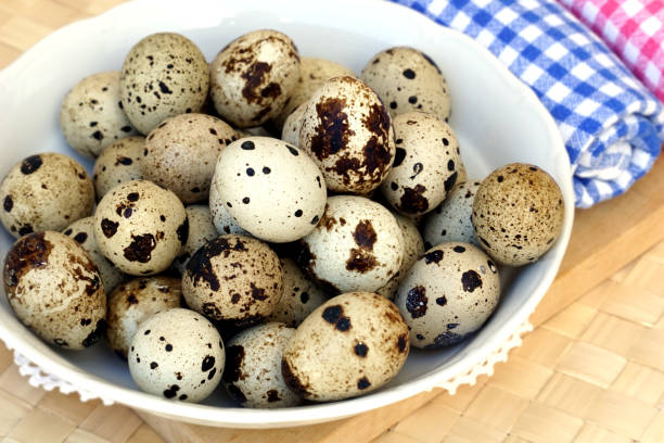 istock Fresh small dotted Japanese quail eggs in a bowl 1333414639