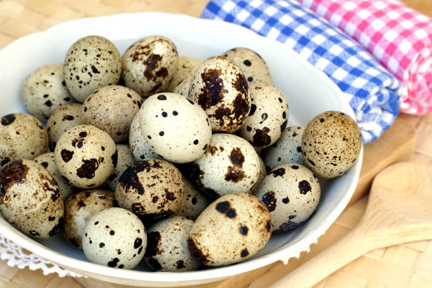 istock Fresh little spotted Japanese quail eggs in a bowl on the kitchen desk 1333414640