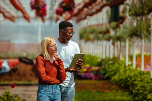 istock Two coworkers analyzing production in greenhouse 1333420265