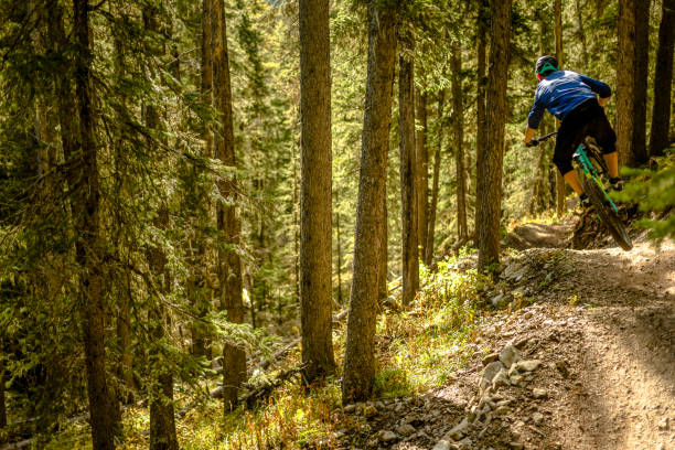 istock View of mountain biker getting air off jump in forest 1333426061