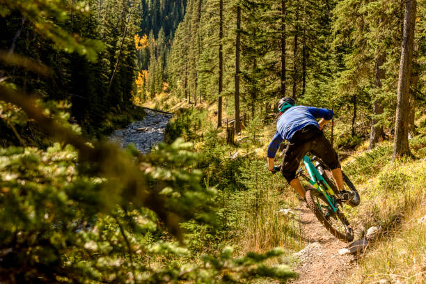 istock View of mountain biker following trail through forest 1333426099