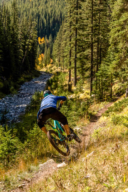 istock View of mountain biker following trail through forest 1333426129