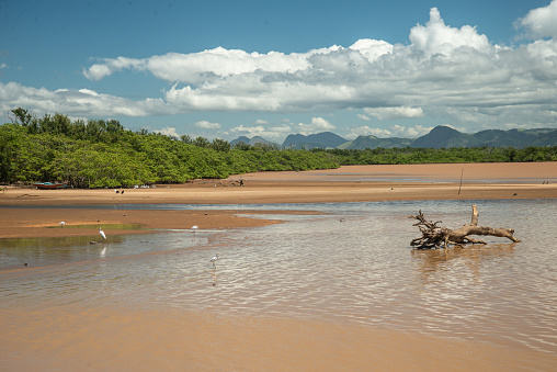 Alter do Chão-Tapajós-Amazônia-Pará-Brazil