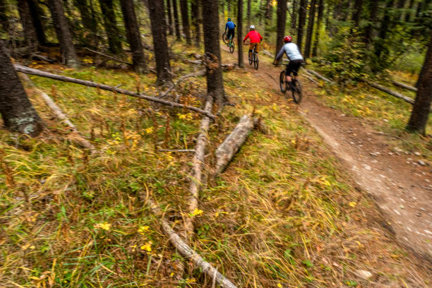 istock View of mountain bikers following trail through forest 1333426251