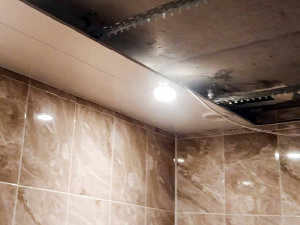 istock Installation of luminaires and installation of ventilation diffusers in the ceiling. 1333428412