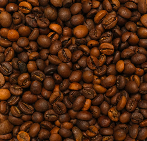 coffee bean group