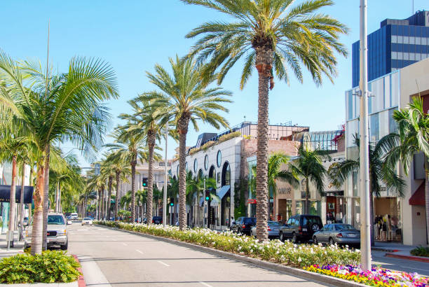 rodeo drive in beverly hills - southern california palm tree beverly hills california california stock-fotos und bilder