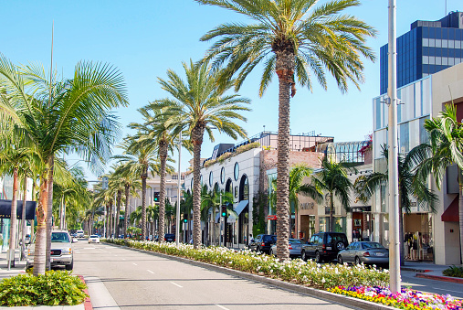 Los Angeles, California, USA - March 2009: Palm trees and flower beds on Rodeo Drive in Beverly Hills in Hollywood