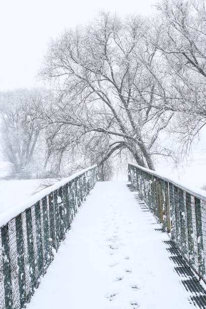 istock Metal bridge in snow 1333435255